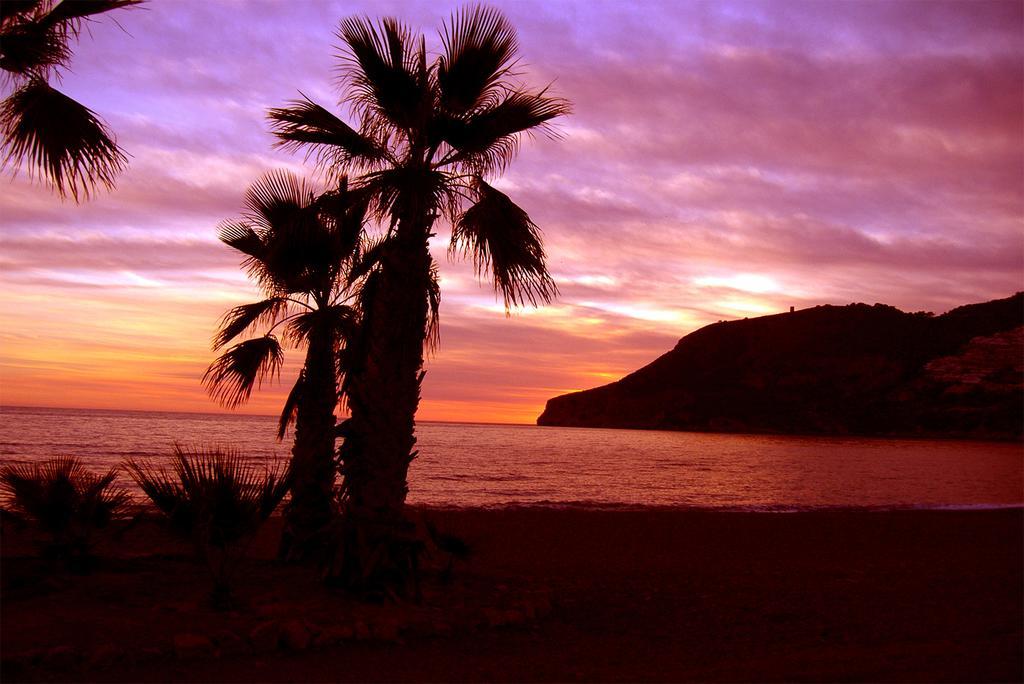 Pension La Herradura エクステリア 写真